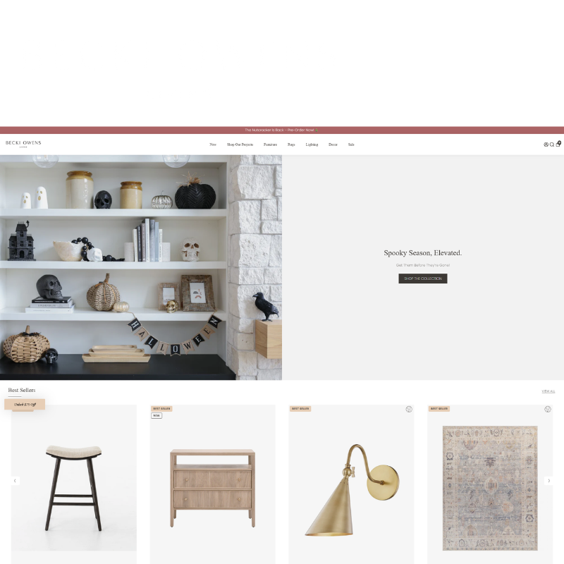 Becki Owens Case Study Becki Owens Case Study