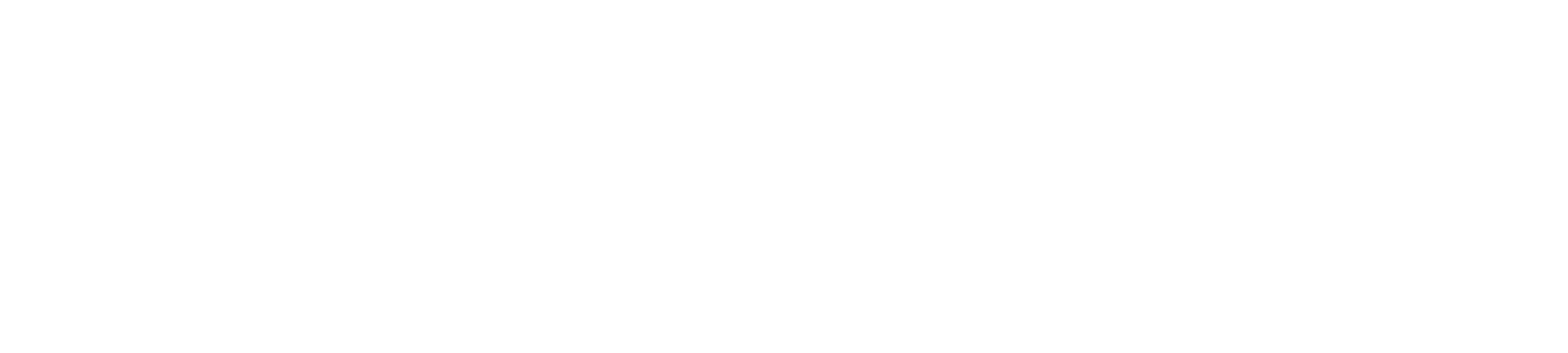logo_white_booster-3